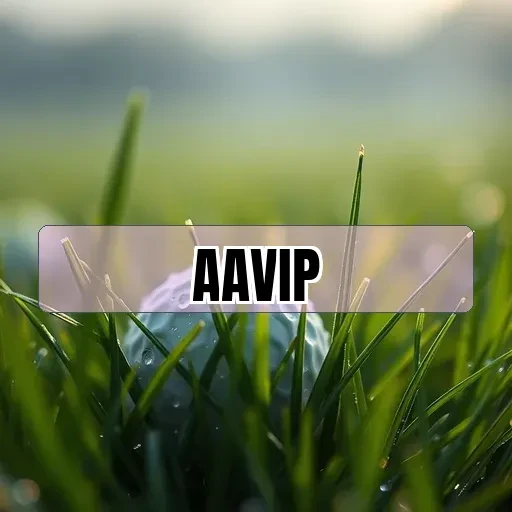 aavip.com Perguntas Frequentes